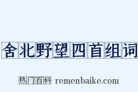 舍北野望四首组词是什么意思的图片